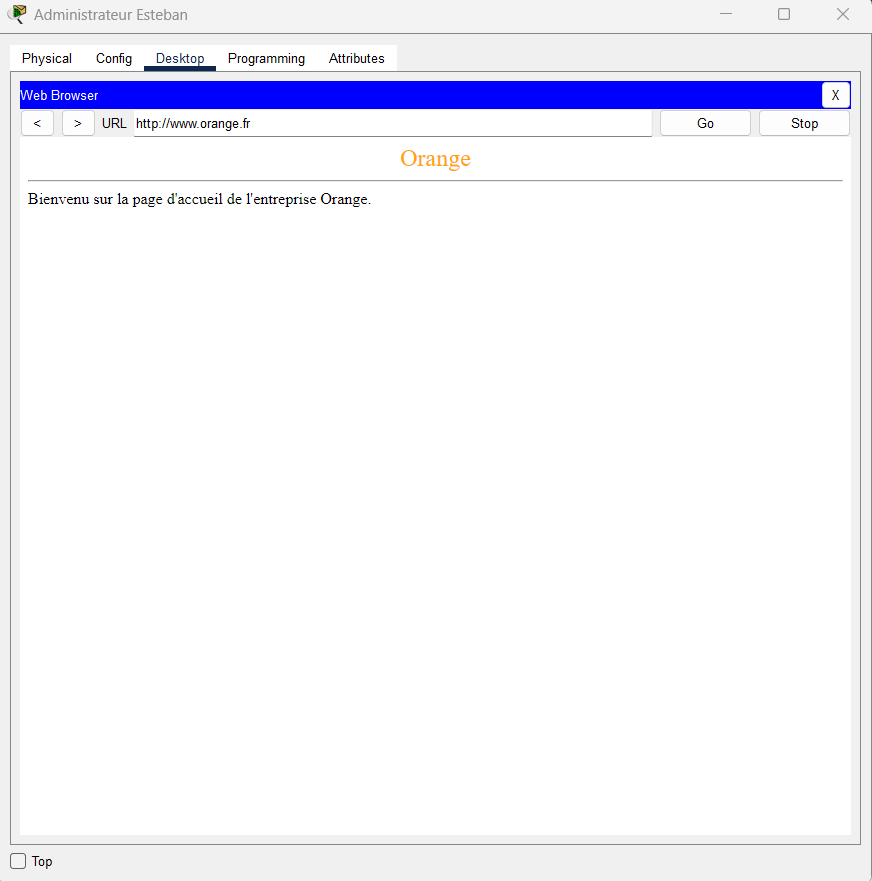 Résultats des tests Ping et DNS